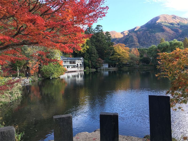 Camera iphone 6s , apple center đà nẵng 